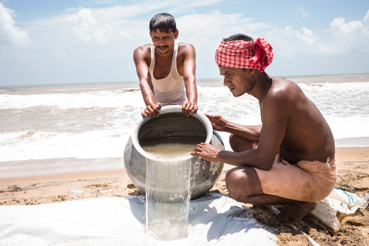 Formazione sulle tecniche di agricoltura sostenibile - immagine 2