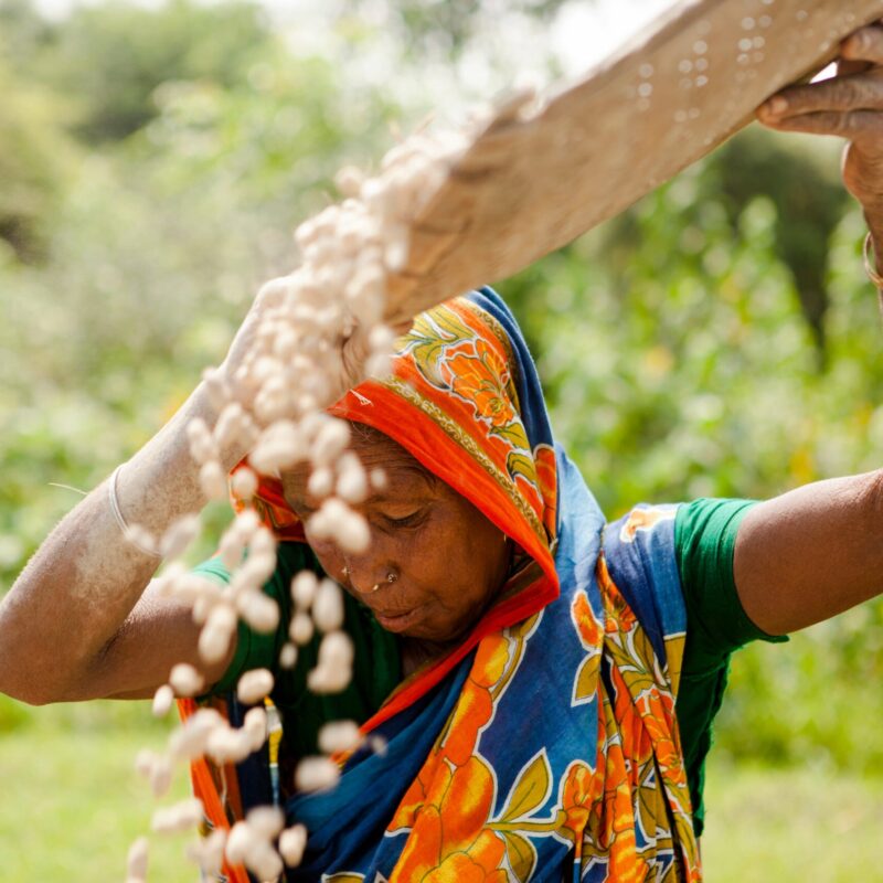 Formazione sulle tecniche di agricoltura sostenibile