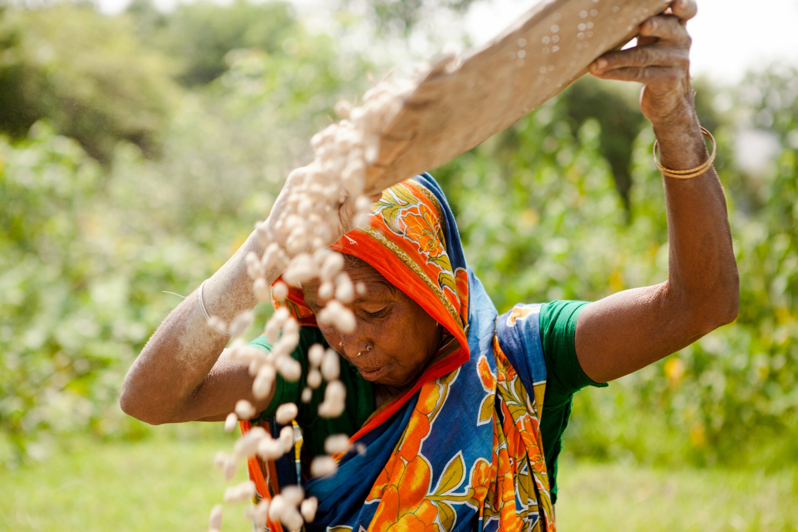 Formazione sulle tecniche di agricoltura sostenibile