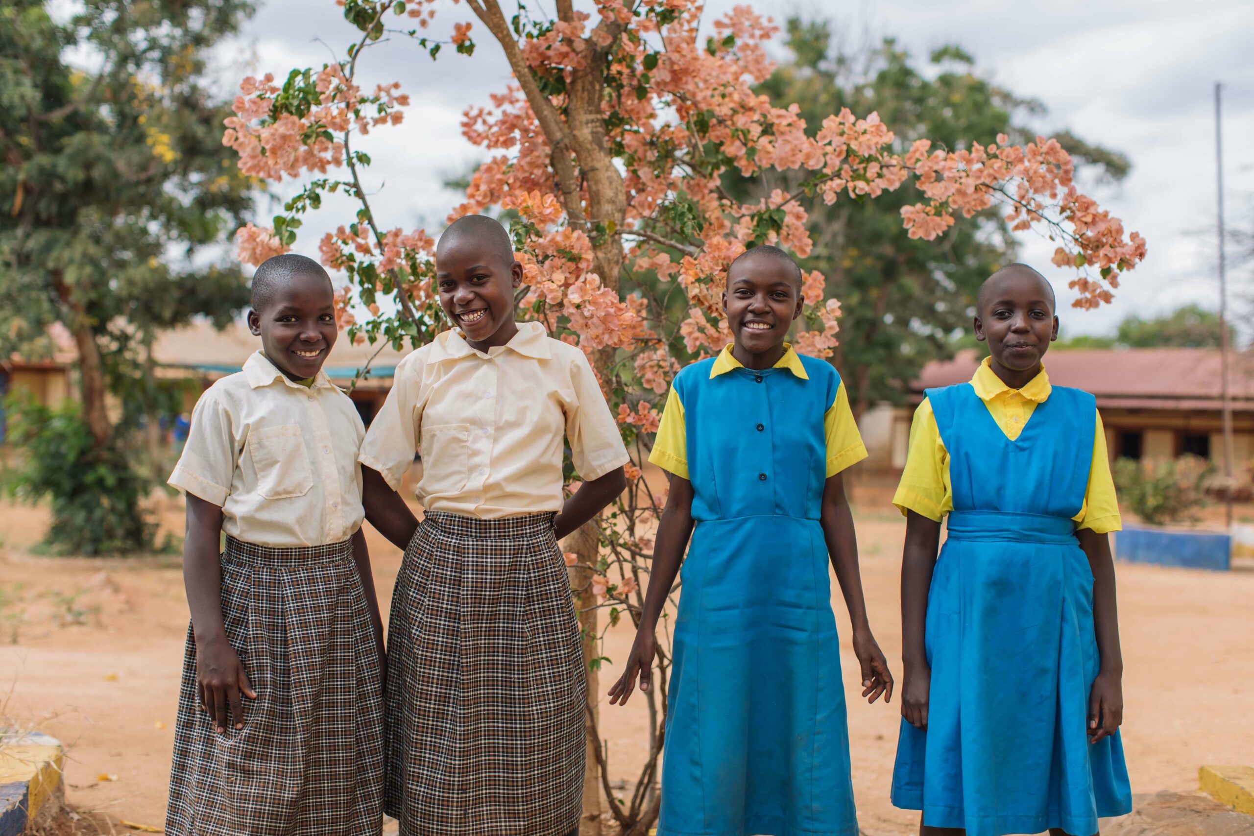 Assorbenti igienici femminili